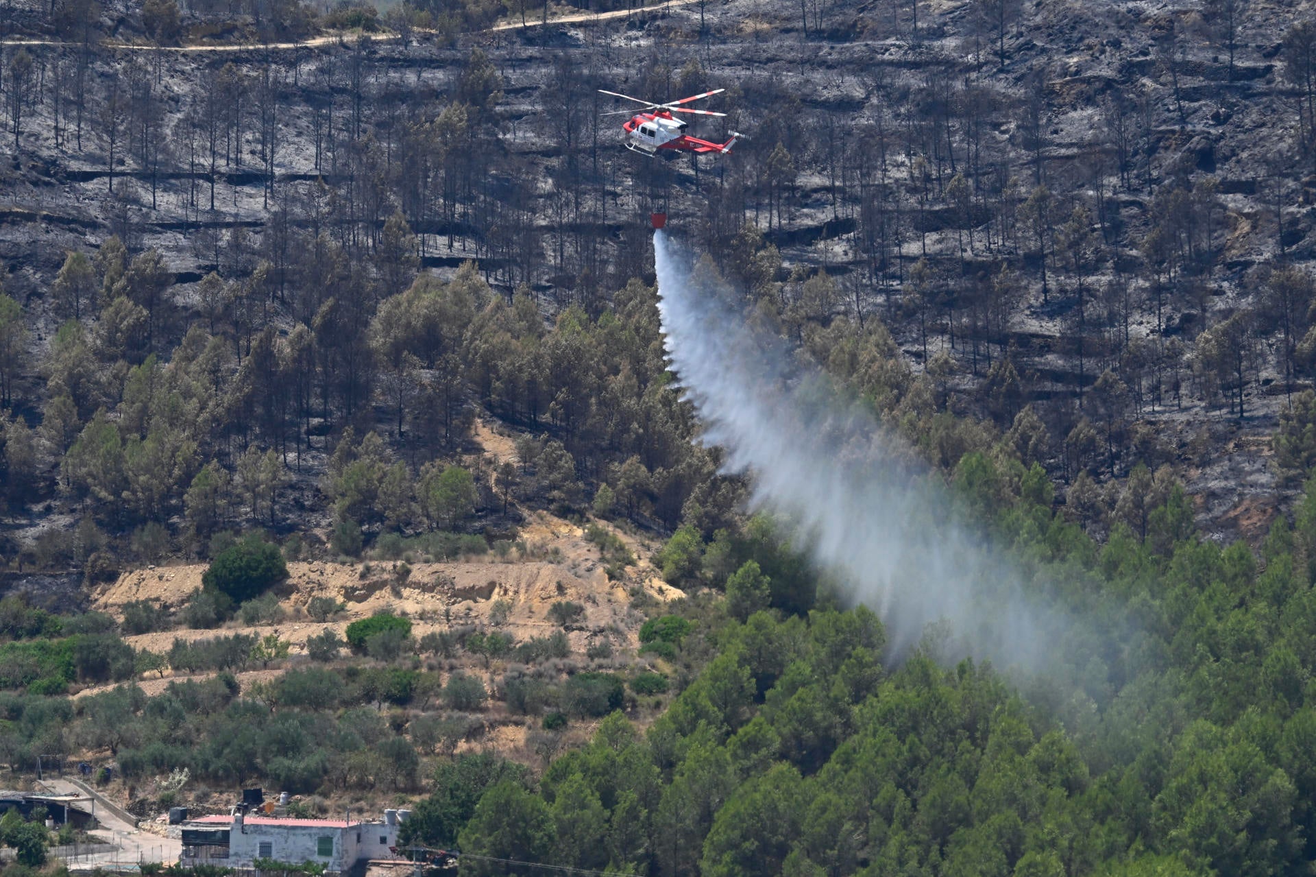 Investigadas tres personas por su presunta relación con incendios forestales en Castellón Investigadas tres personas por su presunta relación con incendios forestales en Castellón