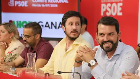 El Comité Regional del PSOE fija las primarias en las ciudades de más de 20.000 habitantes para el mes de septiembre El Comité Regional del PSOE fija las primarias en las ciudades de más de 20.000 habitantes para el mes de septiembre