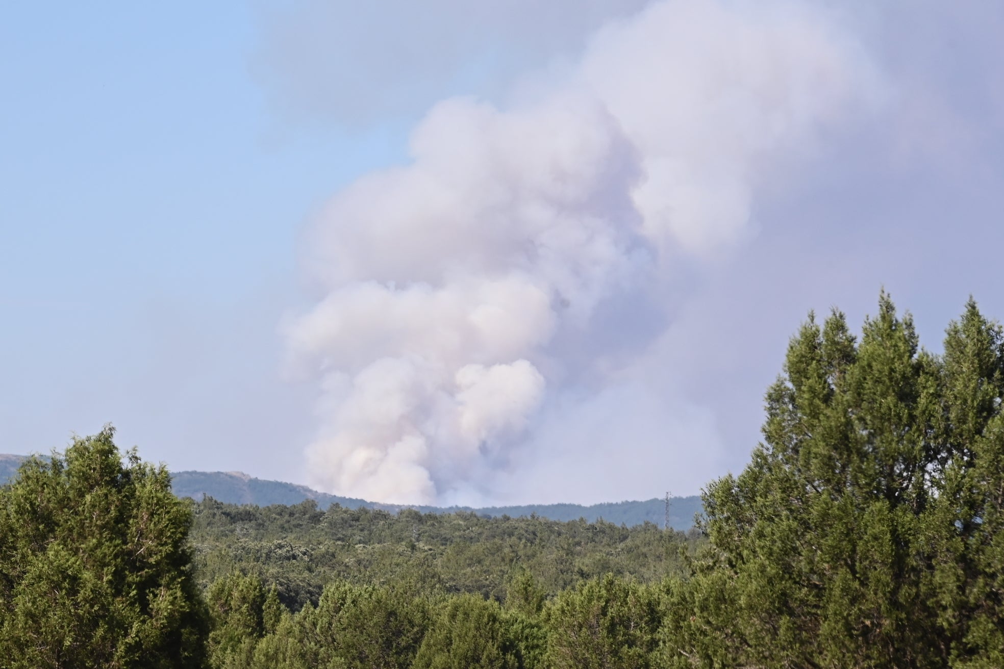 La crítica del alcalde de Tamajón a la gestión de los bosques tras los incendios en Guadalajara: "Si el hombre no domina el monte, el monte acaba con el hombre" La crítica del alcalde de Tamajón a la gestión de los bosques tras los incendios en Guadalajara: "Si el hombre no domina el monte, el monte acaba con el hombre"