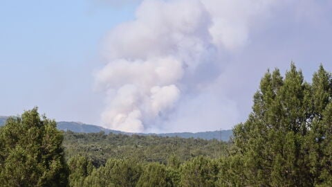 Vista del humo del incendio forestal en Guadalajara, Castilla-La Mancha/ Ramón Comet / Europa Press Vista del humo del incendio forestal en Guadalajara, Castilla-La Mancha/ Ramón Comet / Europa Press