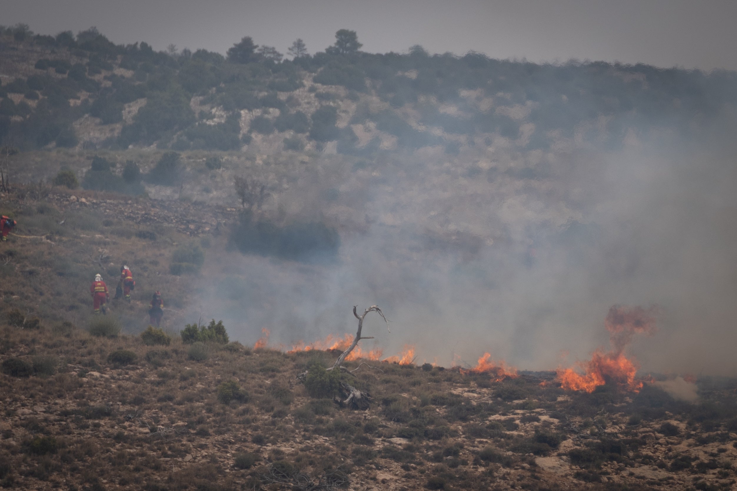 El incendio de Ejulve arrasa 1.100 hectáreas El incendio de Ejulve arrasa 1.100 hectáreas