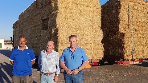 Agricultura suministra 45 toneladas de paja a las explotaciones ganaderas de Valdefuentes afectadas por un incendio forestal en julio Agricultura suministra 45 toneladas de paja a las explotaciones ganaderas de Valdefuentes afectadas por un incendio forestal en julio