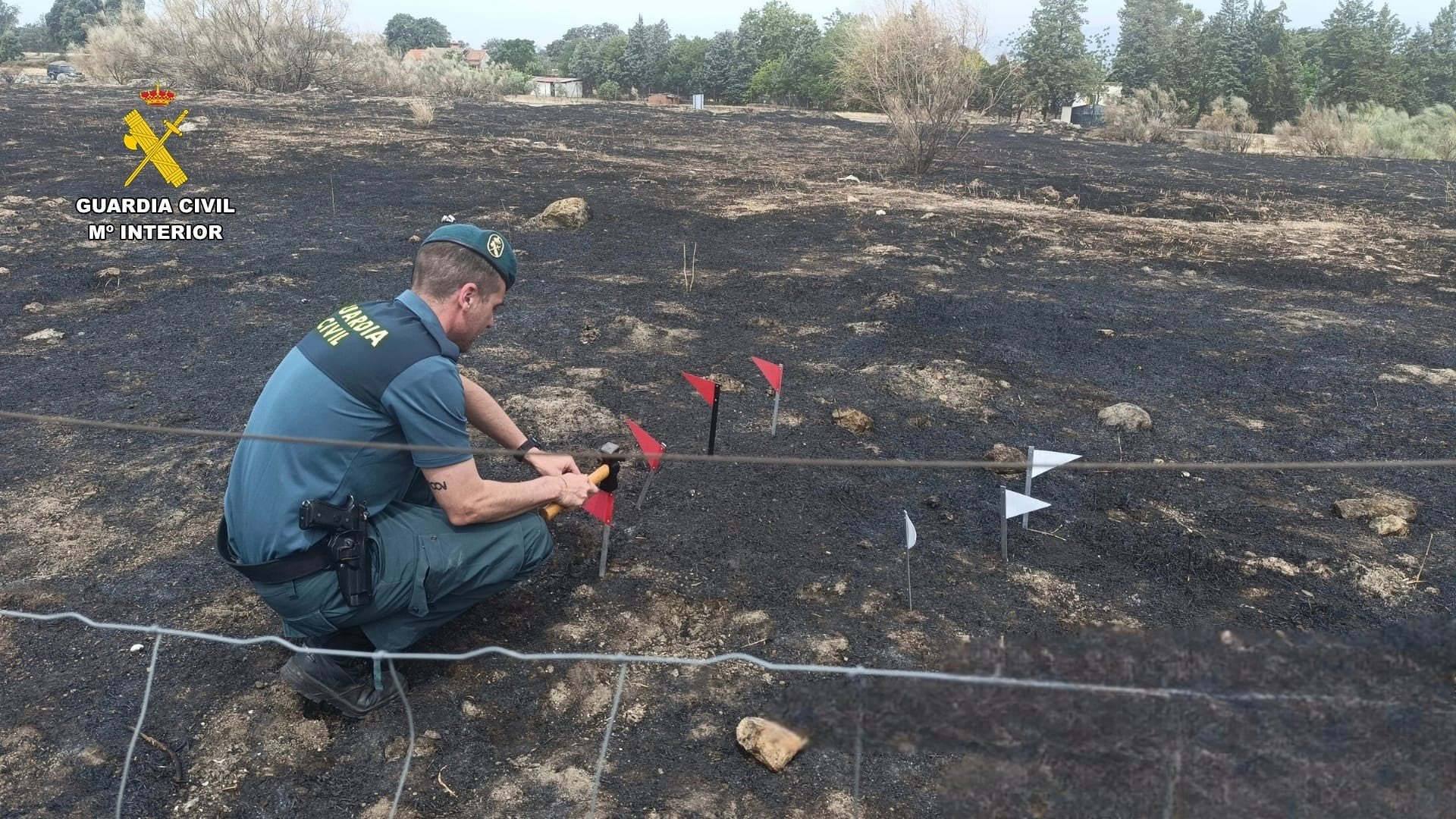 Detenido un hombre por provocar un incendio forestal en las inmediaciones del Hospital de Navalmoral Detenido un hombre por provocar un incendio forestal en las inmediaciones del Hospital de Navalmoral