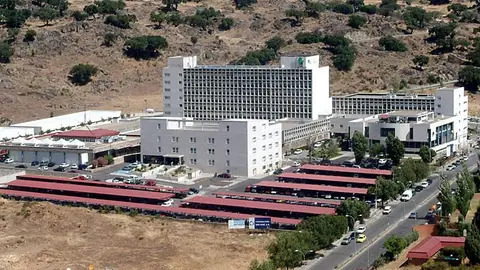 Herido leve un joven de 17 años tras una caída de bicicleta en la Avenida Virgen del Puerto de Plasencia Herido leve un joven de 17 años tras una caída de bicicleta en la Avenida Virgen del Puerto de Plasencia