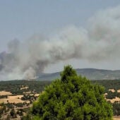 Se declara en Selas un nuevo incendio forestal 