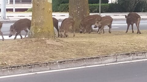 onda cero