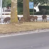 onda cero onda cero