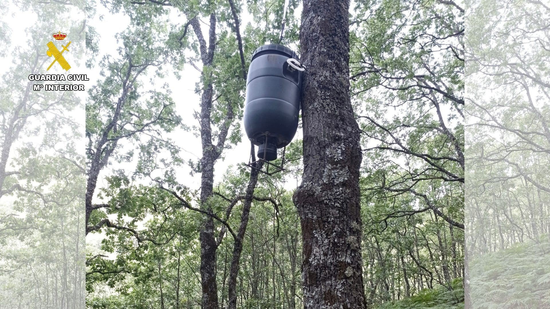 Investigado un hombre por cazar ilegalmente en la Reserva Regional de Caza 'La Sierra' en Guijo de Santa Bárba Investigado un hombre por cazar ilegalmente en la Reserva Regional de Caza 'La Sierra' en Guijo de Santa Bárba