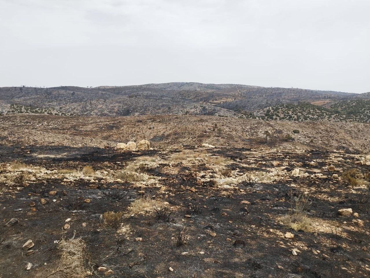 Los vecinos desalojados por el incendio de Ejulve vuelven a casa Los vecinos desalojados por el incendio de Ejulve vuelven a casa