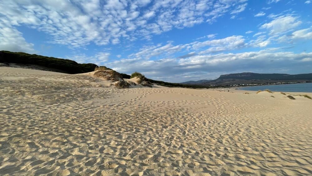 Dunas de la Playa Bolonia.