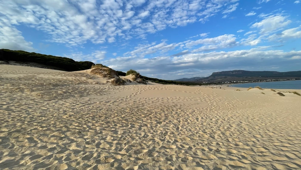 Dunas de la Playa Bolonia. Dunas de la Playa Bolonia.