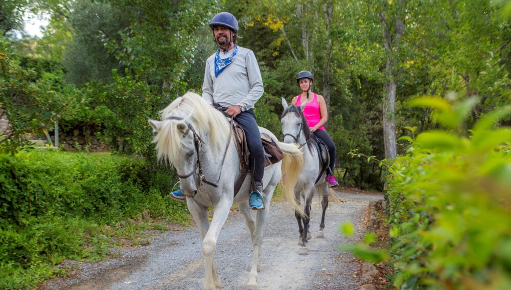Bosque a caballo en la Alpujarra almeriense.
