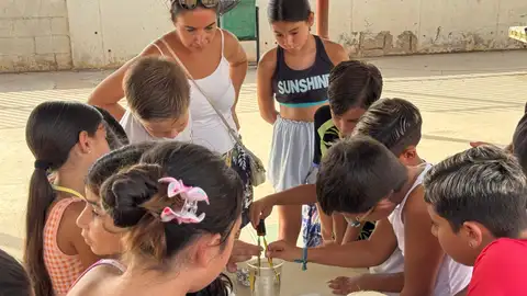 Actividades realizadas en la escuela de verano del CEIP Miguel Hernández de Elche. Actividades realizadas en la escuela de verano del CEIP Miguel Hernández de Elche.