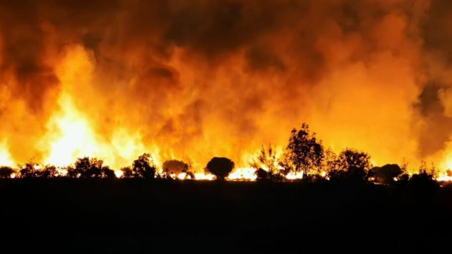 CGT asegura que la gravedad del incendio de Brieva podía haberse evitado si hubieran funcionado las torretas de vigilancia de la zona 