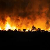 Incendio de Brieva