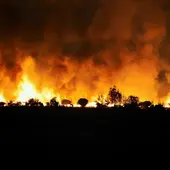 Incendio de Brieva Incendio de Brieva