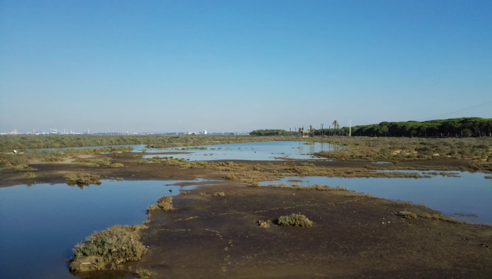 Marismas del Odiel, en Huelva. Marismas del Odiel, en Huelva.