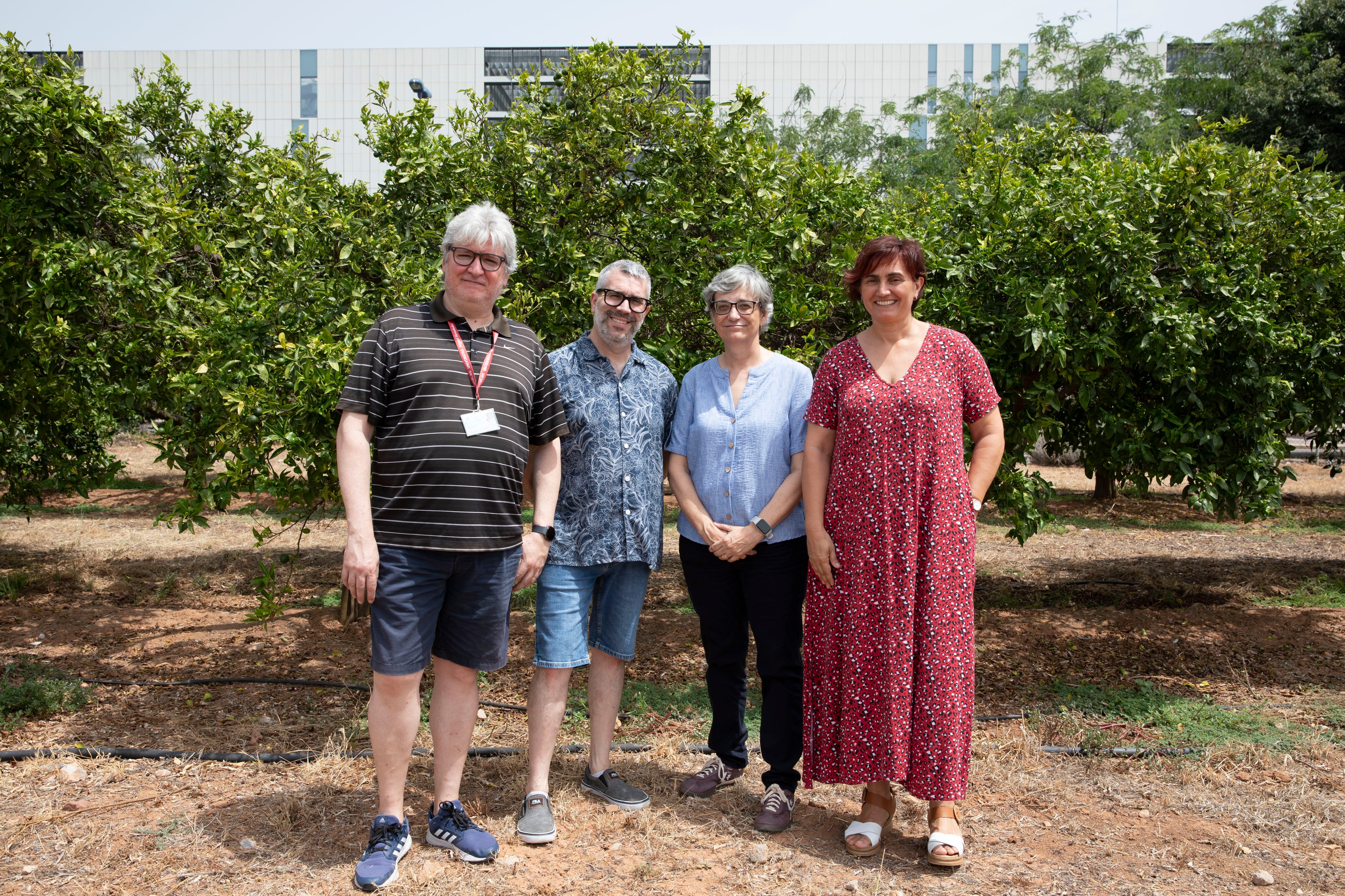 La UJI lidera un proyecto europeo para crear cítricos más resistentes al cambio climático y las plagas La UJI lidera un proyecto europeo para crear cítricos más resistentes al cambio climático y las plagas