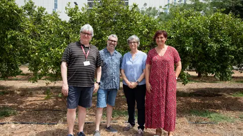 La UJI lidera un proyecto europeo para crear cítricos más resistentes al cambio climático y las plagas La UJI lidera un proyecto europeo para crear cítricos más resistentes al cambio climático y las plagas