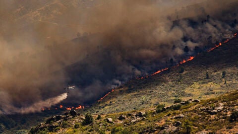 Vista de una espesa columna de humo provocada por un incendio forestal/ Mateo Lanzuela / Europa Press Vista de una espesa columna de humo provocada por un incendio forestal/ Mateo Lanzuela / Europa Press