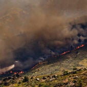 Vista de una espesa columna de humo provocada por un incendio forestal/ Mateo Lanzuela / Europa Press