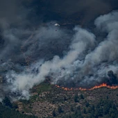 Los incendios en Ávila y Madrid encaran el fin de semana con más de 60.000 evacuados: "Es el peor incendio de la historia de la Comunidad de Madrid" Los incendios en Ávila y Madrid encaran el fin de semana con más de 60.000 evacuados: "Es el peor incendio de la historia de la Comunidad de Madrid"