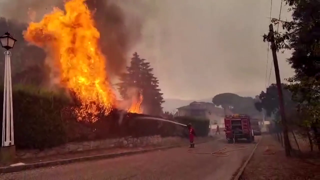 Última hora de los incendios forestales en España, en directo: El Gobierno declara la emergencia nacional en Madrid y Ávila Última hora de los incendios forestales en España, en directo: El Gobierno declara la emergencia nacional en Madrid y Ávila
