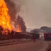 Última hora de los incendios forestales en España, en directo: El Gobierno declara la emergencia nacional en Madrid y Ávila Última hora de los incendios forestales en España, en directo: El Gobierno declara la emergencia nacional en Madrid y Ávila