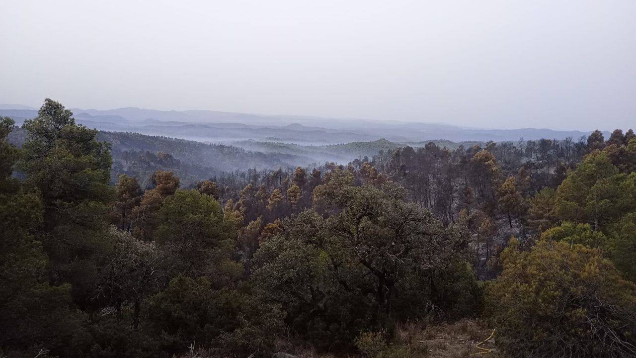 Los efectivos trabajan para controlar tres incendios en Aragón Los efectivos trabajan para controlar tres incendios en Aragón