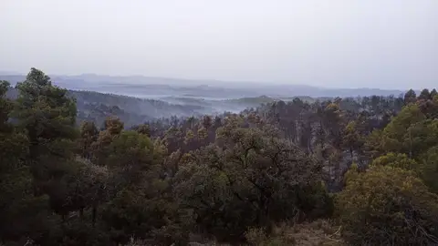 Los efectivos trabajan para controlar tres incendios en Aragón Se han calcinado 83 hectáreas en la localidad turolense de La Cerollera
