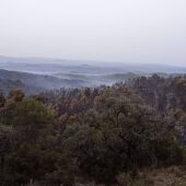 Los efectivos trabajan para controlar tres incendios en Aragón