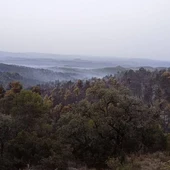 Los efectivos trabajan para controlar tres incendios en Aragón Los efectivos trabajan para controlar tres incendios en Aragón