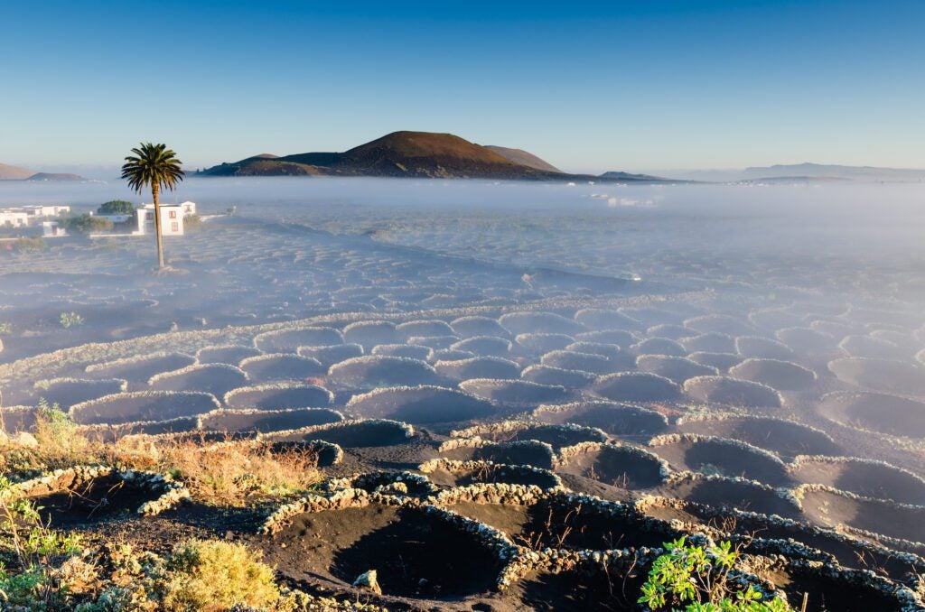Lanzarote y su turismo deportivo Lanzarote y su turismo deportivo