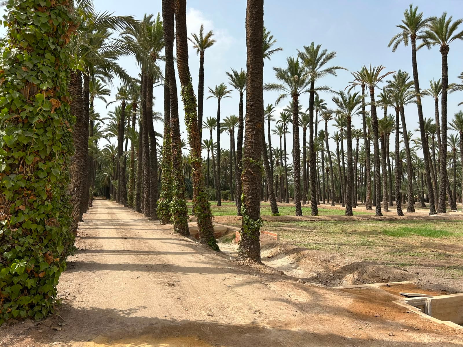 Elche recupera el Hort del Gat y restaura seis murales de Torres Bru y Cañizares Elche recupera el Hort del Gat y restaura seis murales de Torres Bru y Cañizares