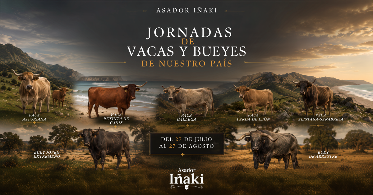 Asador Iñaki reúne en Málaga las mejores vacas y bueyes de España en unas nuevas jornadas gastronómicas Asador Iñaki reúne en Málaga las mejores vacas y bueyes de España en unas nuevas jornadas gastronómicas