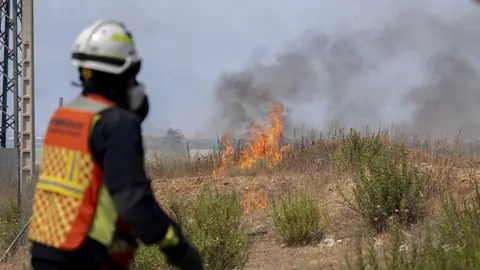 Bomberos trabajan en las labores de extinción de un incendio forestal, en la carretera M 206 entre Torrejón de Ardoz y Loeches Bomberos trabajan en las labores de extinción de un incendio forestal, en la carretera M 206 entre Torrejón de Ardoz y Loeches