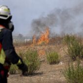 Bomberos trabajan en las labores de extinción de un incendio forestal, en la carretera M 206 entre Torrejón de Ardoz y Loeches