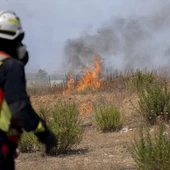 Bomberos trabajan en las labores de extinción de un incendio forestal, en la carretera M 206 entre Torrejón de Ardoz y Loeches Bomberos trabajan en las labores de extinción de un incendio forestal, en la carretera M 206 entre Torrejón de Ardoz y Loeches