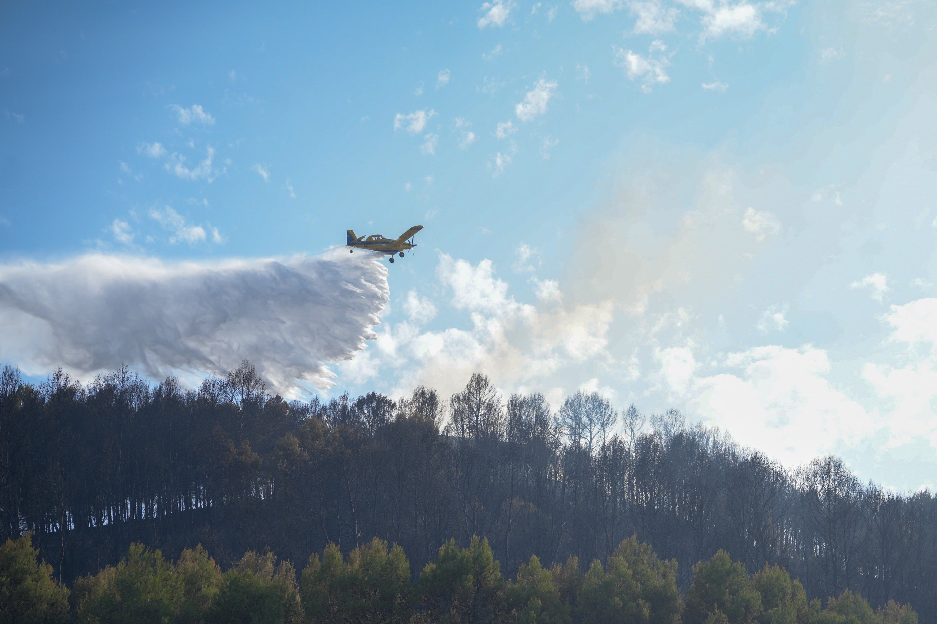 Cuándo llega la ayuda internacional para extinguir los incendios en España: estos son los países que han ofrecido su colaboración Cuándo llega la ayuda internacional para extinguir los incendios en España: estos son los países que han ofrecido su colaboración