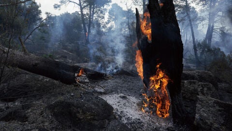Zonas quemadas en los alrededores de el embalse de El Burguillo por el incendio que se origin&oacute; en Burgohondo (&Aacute;vila).