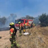 Efectivos del Consorcio de Bomberos de Valencia trabajan este sábado en la extinción del incendio forestal en Manises