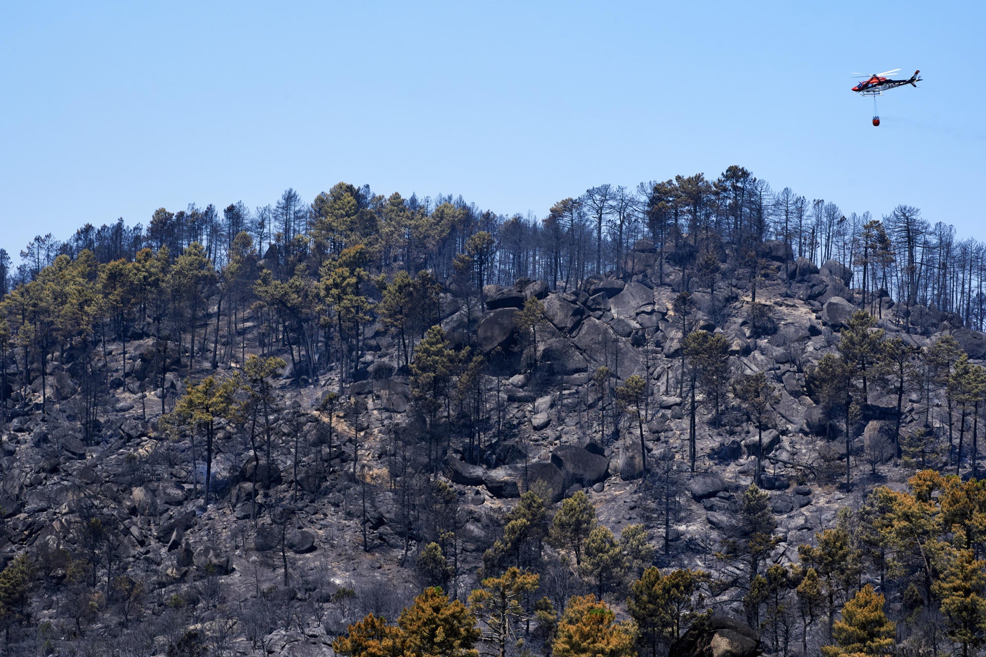Estos son los mayores incendios forestales en la historia de España: el de Ávila encabeza la lista con 50.000 hectáreas arrasadas Estos son los mayores incendios forestales en la historia de España: el de Ávila encabeza la lista con 50.000 hectáreas arrasadas