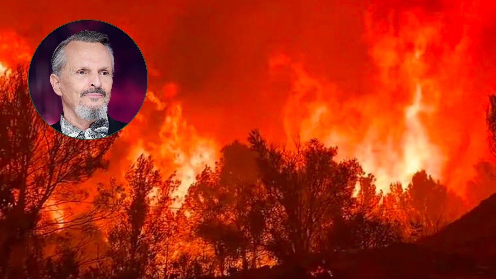 Miguel Bosé estalla por la ola de incendios en España y critica a los ecologistas: "Espero que sean ellos los que ardan" Miguel Bosé estalla por la ola de incendios en España y critica a los ecologistas: "Espero que sean ellos los que ardan"