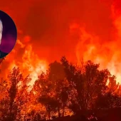 Miguel Bosé estalla por la ola de incendios en España y critica a los ecologistas: "Espero que sean ellos los que ardan" Miguel Bosé estalla por la ola de incendios en España y critica a los ecologistas: "Espero que sean ellos los que ardan"