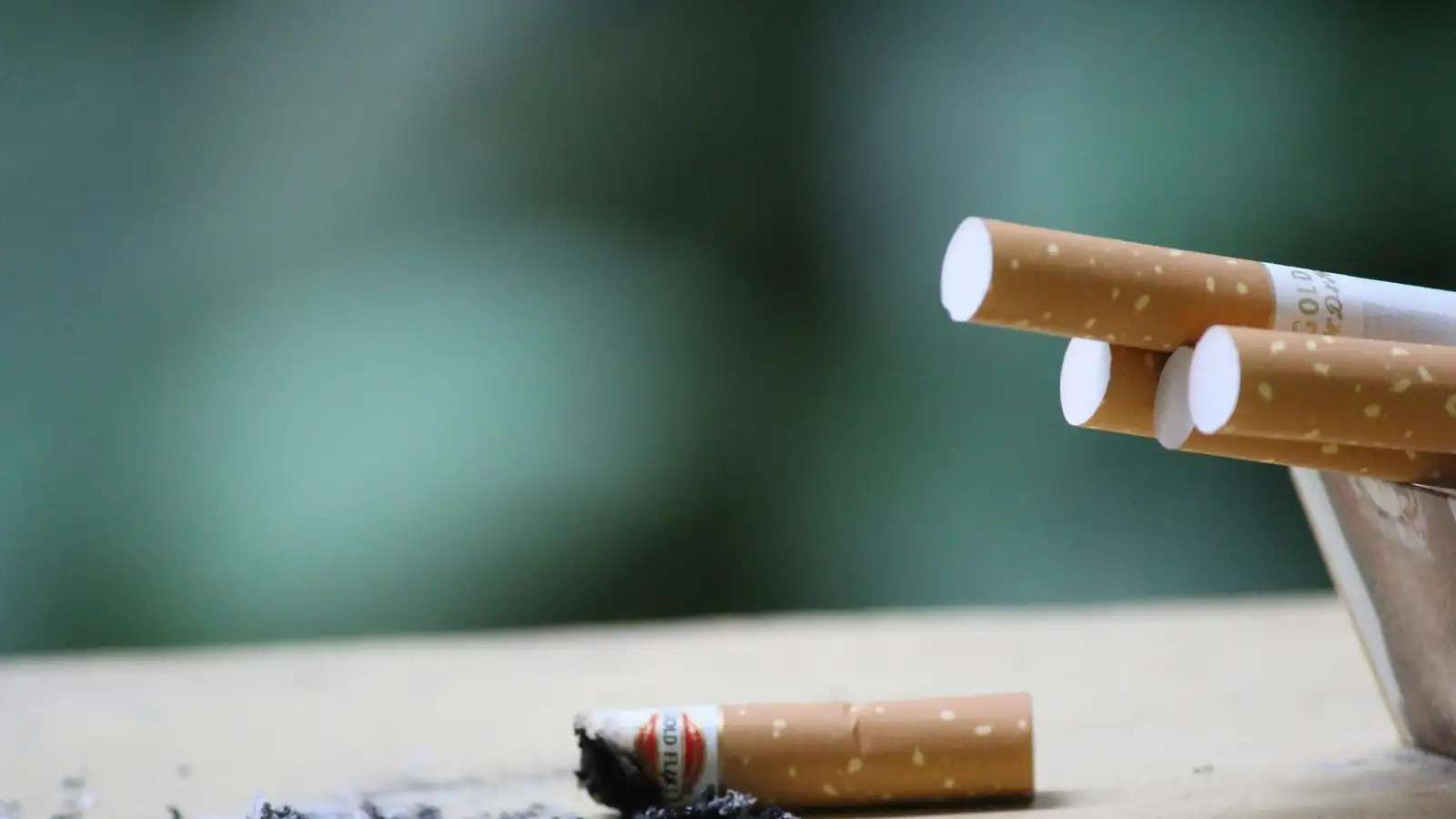 Natalia Ruiz (AECC): "El tabaco causa el 30 % de los casos de cáncer" Natalia Ruiz (AECC): "El tabaco causa el 30 % de los casos de cáncer"