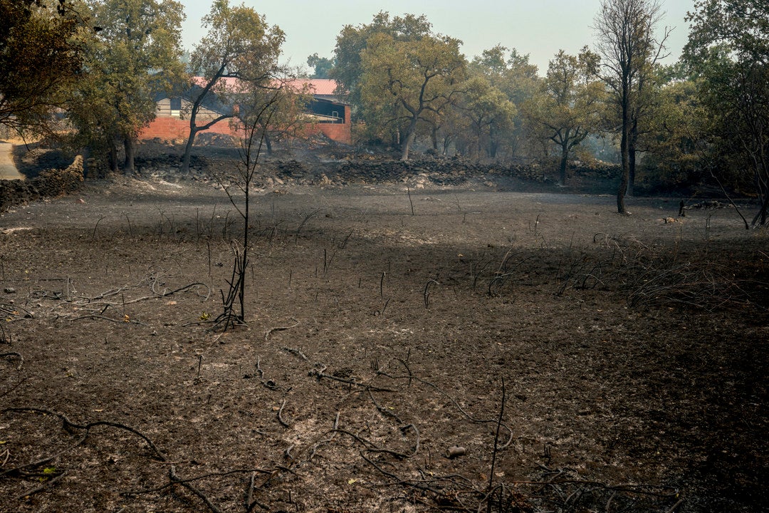 Si incendiar un monte puede costar hasta 20 años de cárcel, ¿por qué apenas hay condenas? Si incendiar un monte puede costar hasta 20 años de cárcel, ¿por qué apenas hay condenas?