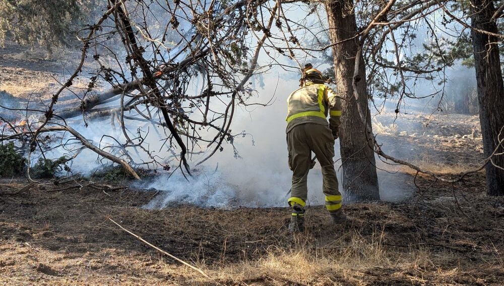 Un bombero forestal trabaja en la zona del pantano de San Juan
