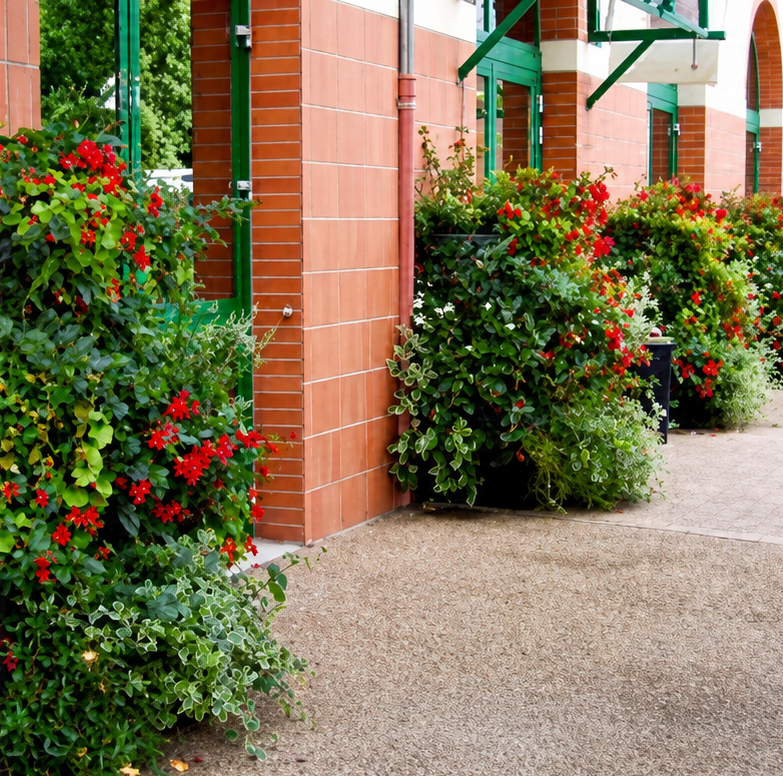 El Plan de Regeneración del Ensanche permitirá invertir 870.000 euros en toldos vegetales y maceteros en calles peatonales El Plan de Regeneración del Ensanche permitirá invertir 870.000 euros en toldos vegetales y maceteros en calles peatonales