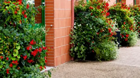 El Plan de Regeneración del Ensanche permitirá invertir 870.000 euros en toldos vegetales y maceteros en calles peatonales El Plan de Regeneración del Ensanche permitirá invertir 870.000 euros en toldos vegetales y maceteros en calles peatonales