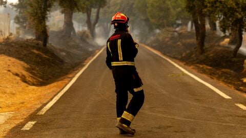 Un bombero trabaja en las labores de extinci&oacute;n del incendio forestal de San Mart&iacute;n de Valdeiglesias